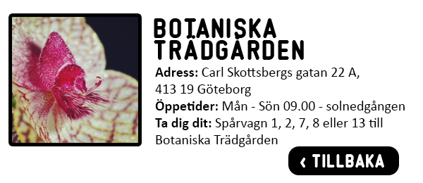 Öppetider, Adress, Vägbeskrivning Botaniska Trädgården Göteborg