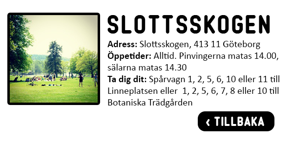 Information om Slottsskogen i Göteborg